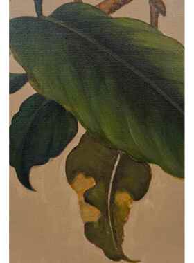xyt手绘画《枇杷山鸟》暖调好寓意入户客厅餐厅玄关新中式艺术画