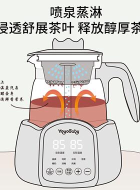 煮茶器养生壶泡茶炉2025新款高端快煮壶玻璃烧水壶小型蒸汽泡茶水