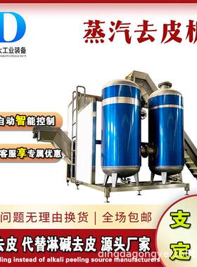 新型土豆鼎大红薯去机器 生姜全自动脱皮皮洗 专机业果蔬清去皮机
