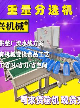 炸猪排全607自大动油炸肉片连续式流水线炸型设备油机油肉脯鸡排