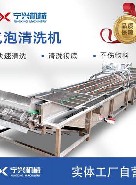 多功能气泡清洗机蔬菜水果 海鲜 材食品的清洗