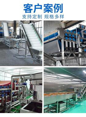 脆李榨汁机杨梅李子荔枝汁生产线全套设备大型水果榨汁机