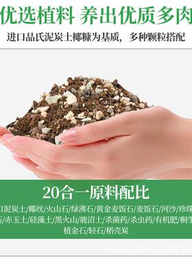 多肉专用颗粒土进口泥炭土花卉栽培种植肥料铺面拌土养花营养土壤