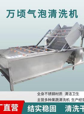 全自动李子清洗机大型李子清洗设备万顷隆牌