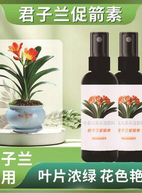 君子兰促箭剂催花营养液促花箭防黄叶快速开花专用液体免稀释