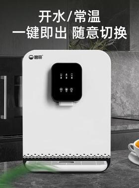 碧丽小型速热即开台式净饮机智享版多档调温带童锁单嘴可壁挂