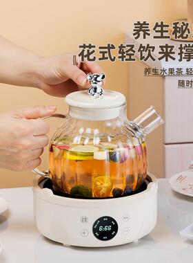 养生壶小型办公室养生杯多功能家用花茶壶玻璃烧水壶两件式煮茶器