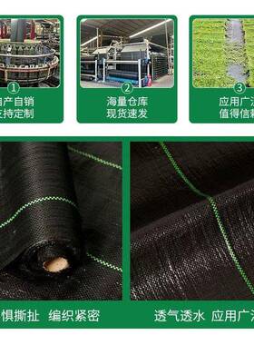 农用防草布除草布耐用果园果树地布地丁厂家直销