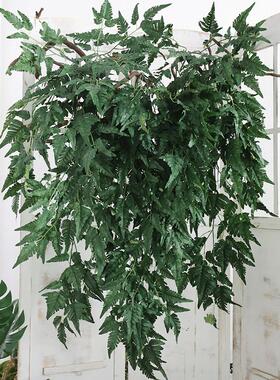 仿真深绿色大波斯壁挂空中吊饰假绿叶悬挂植物橱窗天花板垂吊挂饰