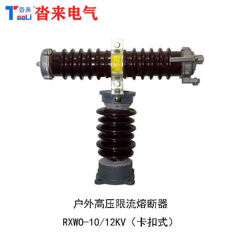 RXWO-35高压限流熔断器户外型RW10-10-12-40.5KV陶瓷绝缘卡扣式,淘宝优惠券,粉丝福利购,淘宝优惠卷