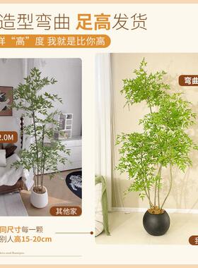彷真绿色植物南天竹室内客厅阳台装饰大型落地摆件轻奢新款彷真花
