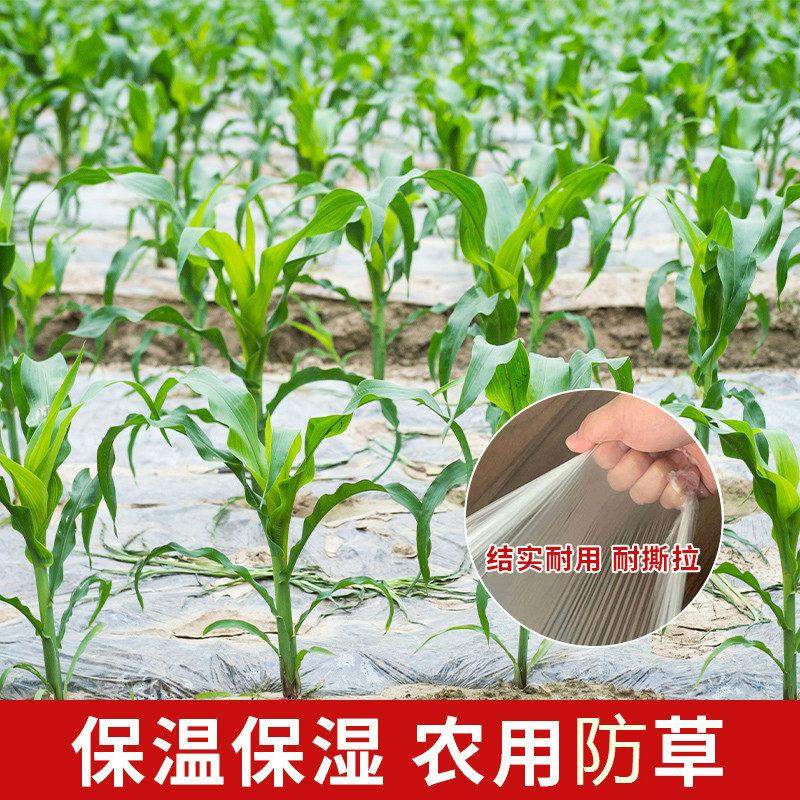 白色地膜农用薄膜花生玉米土豆红薯农用种植地膜透明家用小拱棚膜,淘宝优惠券,粉丝福利购,淘宝优惠卷