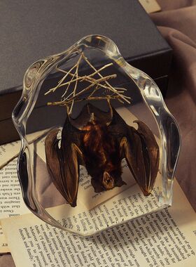 昆虫标本蝙蝠标本教学摆件书镇新奇礼品学生教具树脂工艺品