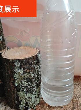 橡木【青冈】实木墩子原木凳子天然桩树墩原桩树桩木树木墩子底座