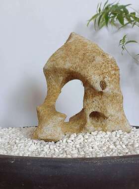 太湖石原石小鱼缸微盆景造景石微景观假山盆景小摆件附石观赏