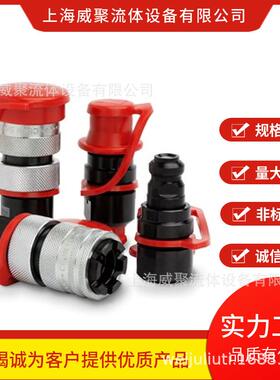 瑞典CEJN希恩超高压液压快速接头101251202工作压力250MPA母头