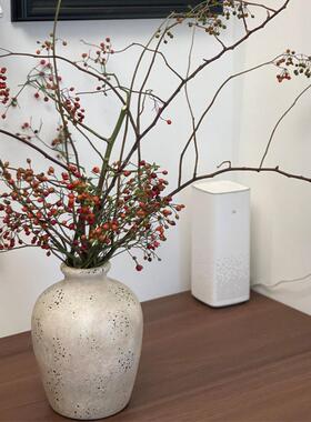 侘寂风粗陶花瓶 客厅插花装饰品 高级感轻奢风家居酒店陶瓶摆件