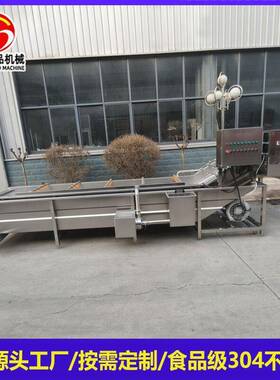果蔬自动清洗机气泡式自动清洗设备清洗机流水线去农残气泡清洗机