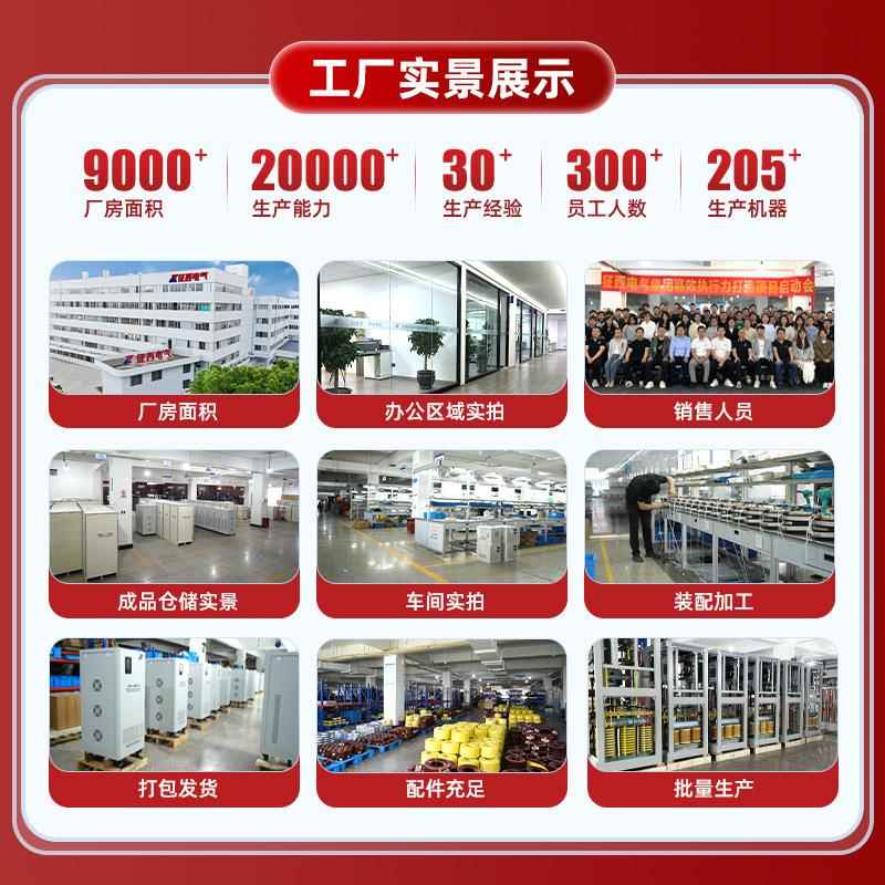 110V升2降0V转1EWT1器0v升电压转换外贸跨境出口SDT电源变2压器 - 图2