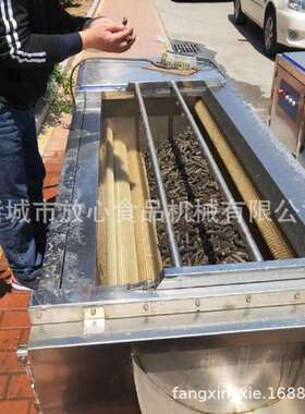海参清洗机 厂家直销海蜇清洗设备 海参毛辊清洗机