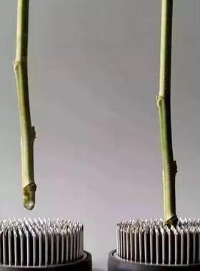 剑山插花器套装不锈钢中式花瓶插花固定工具底座针底托圆形器皿