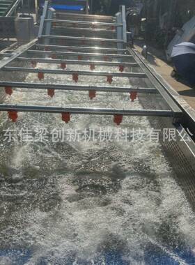 多功能果蔬气泡清洗机小龙虾鱼气泡清洗机苹果橘子气泡清洗机根茎