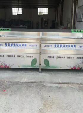 山东洗菜机厂家 专业生产多功能涡流洗菜机 气泡消毒 事半功倍