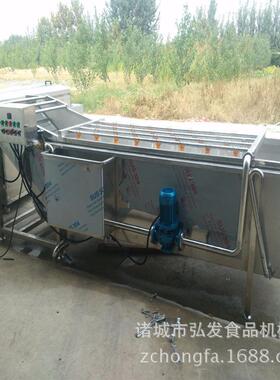 定制商用蔬菜清洗机韭菜全自动气泡清洗机土豆清洗加工流水线