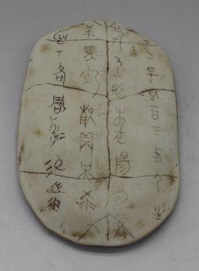 .硬树脂甲骨文仿真小摆件龟甲兽骨古文字化石儿童认知早教玩具模.
