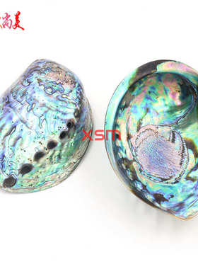 欧美婚庆装饰用品 天然鲍鱼贝 鱼缸水族箱造景家居装饰貝殼 用品