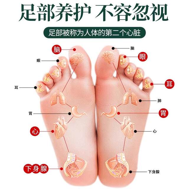 Foot health and wellness socks with acupoint map, foot therapy, sole meridian massage, 100-point socks, massage stick tool