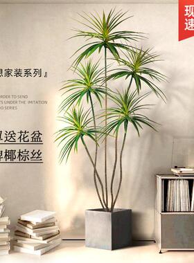 假绿植装饰仿真室内大盆栽龙血树客厅落地摆件高端轻奢仿生花植物