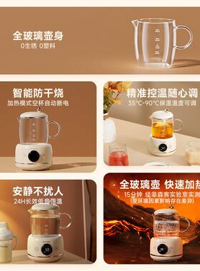 菲森客养生壶多功能家用mini办公室小型迷你煮茶器玻璃花茶烧水壶