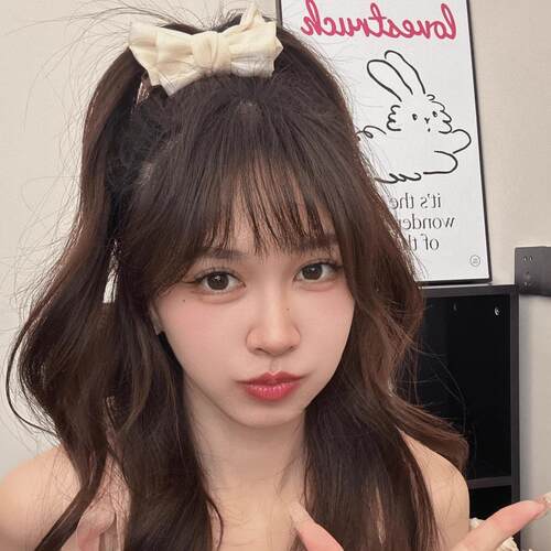Bow hair bun clip, autumn and winter style hair accessory, p - 图1