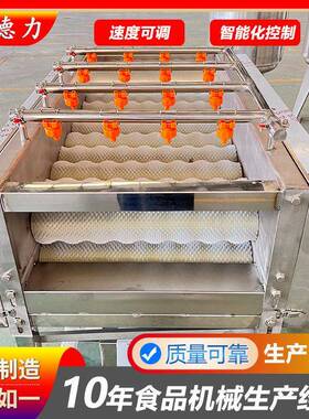 毛辊清洗机 甘蔗去泥沙去灰尘清洗设备 芋头紫薯去皮去杂设备