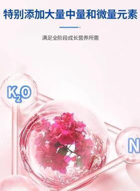 三角梅开花专用营养液肥促花爆花骨粉复合肥料养花枝繁叶茂促开花
