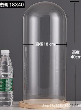 厂家跨境永生干花玻璃装饰摆件