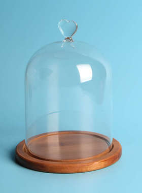 永生花玻璃罩保鲜花罩子蛋糕罩微景观玻璃花瓶教师节礼品厂家
