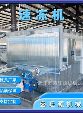 隧道式速冻设备超低温大型速冻机厂家操作方便冻结时间短
