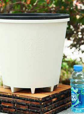 高脚硬质pp多孔塑料盆加厚6加仑蓝莓种植花盆 草莓盆果树种植盆