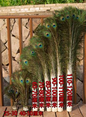 包邮天然孔雀羽毛花瓶摆件客厅装饰大眼孔雀翎真羽毛饰品diy材料