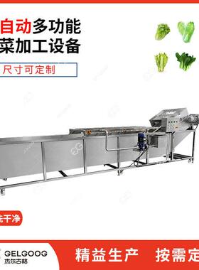 洗蔬清机械 净菜菜加工设备流水线设备 上洗海青叶菜动杰尔古格清