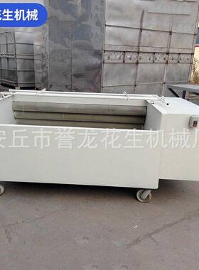全自动毛辊洗果机 花生果毛辊清洗机 核桃坚果毛刷去泥沙清洗机