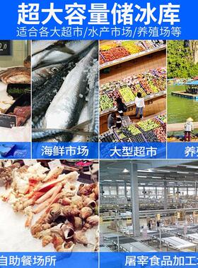 冰丽雪商用片冰机制冰机海鲜食品厂超市大型工业 1吨鱼鳞片制冰机