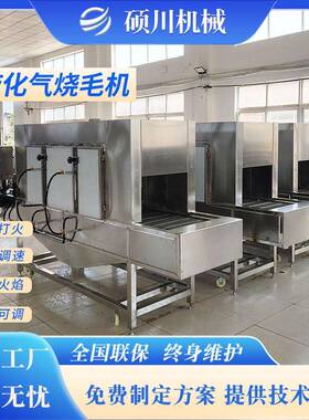 供应烧椒酱加工设备鸡鸭鹅上下喷火燎毛机猪蹄猪头全自动烧毛机