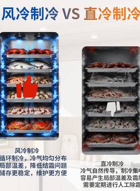 金富贵速冻柜雪糕急冻冰箱包子饺子零下45度海鲜食品冷冻柜