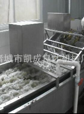 2023四月压喷淋除杂质果蔬机器食品厂带提升气泡清洗机
