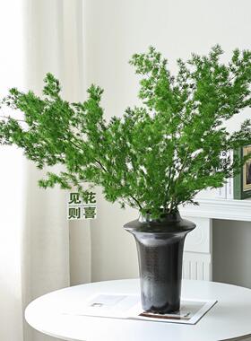 绿色蓬莱松永生花高级感真花干燥花花束天然风干鲜花干树枝花瓶插