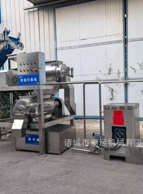 整套木瓜汁饮料生产设备沙棘深加工原浆设备青梅清洗去核机调配
