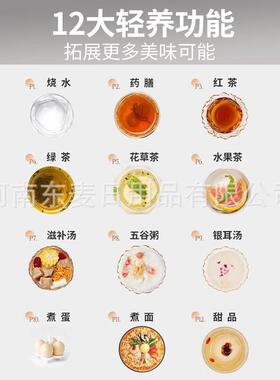办公室烧水壶九阳养生加厚养生杯